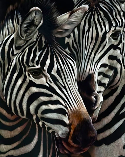 Close-up of two zebras with their heads close together, showing detailed stripes.