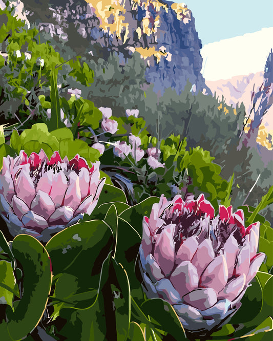 Two pink protea flowers with a mountainous background