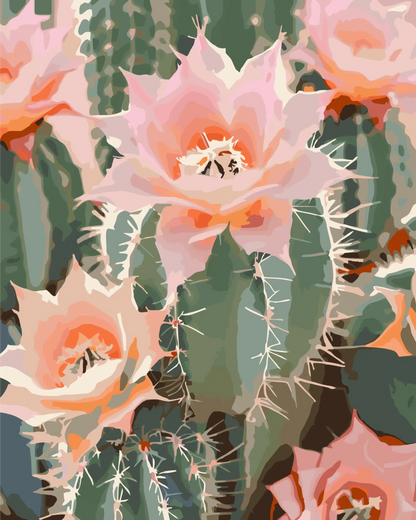 Illustration of pink cactus flowers with green spines on a patterned background