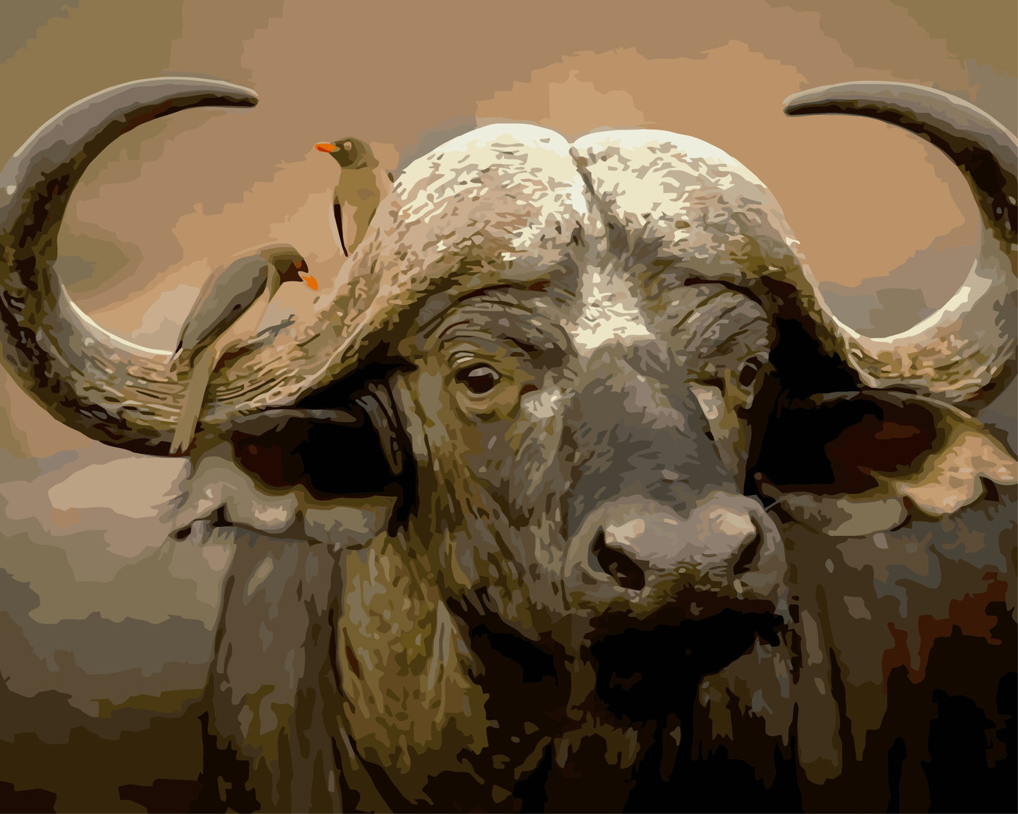 Buffalo with birds on its back against a brown background