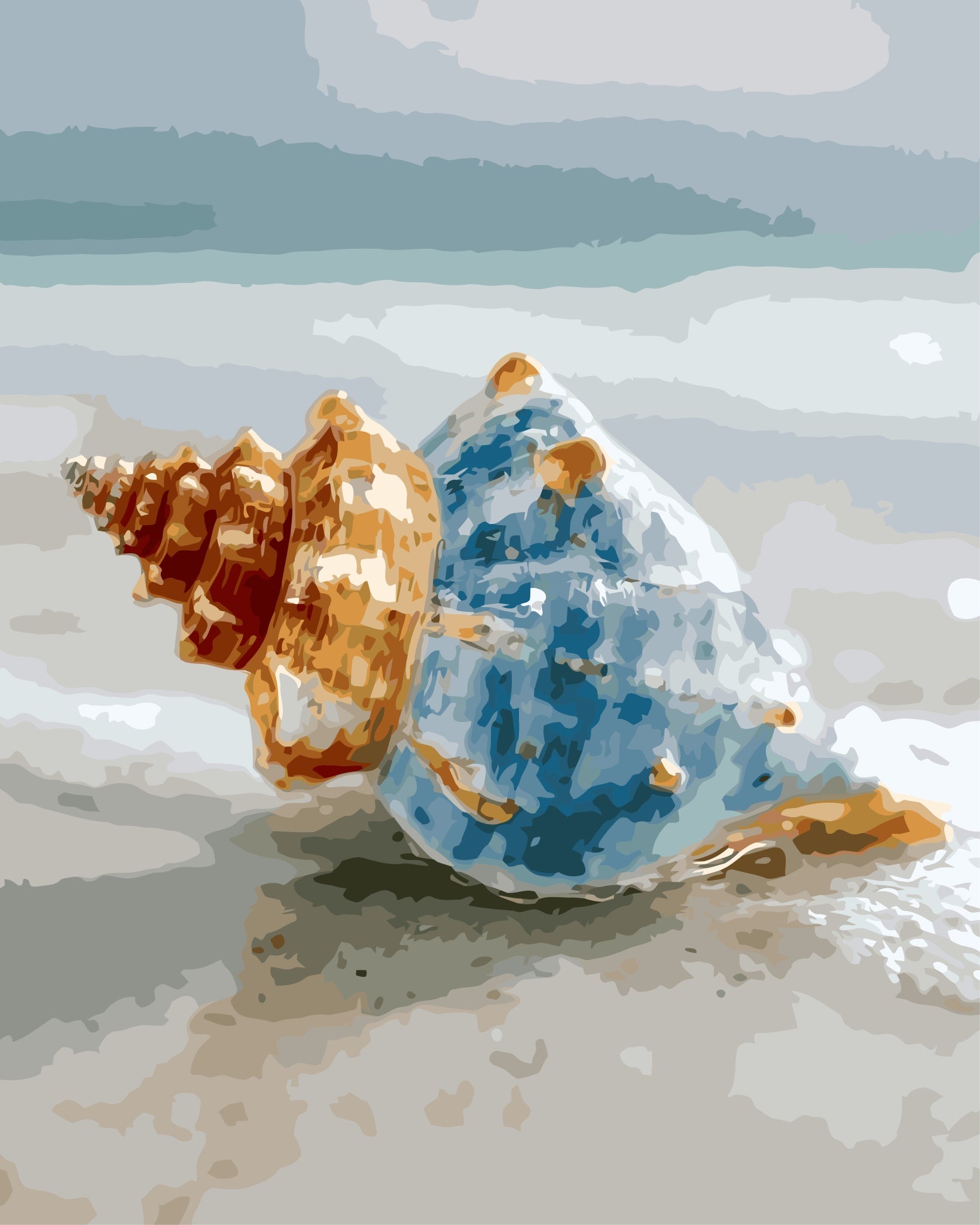 Conch Shell paint by number kit — artistic effect of a conch shell in soft blue-grey, warm orange and sandy cream tones on a wet beach
