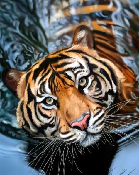 Close-up of a tiger's face with water reflections