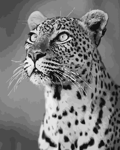 Black and white image of a leopard's face
