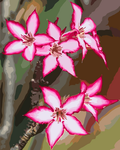 Close-up of pink flowers with a natural background