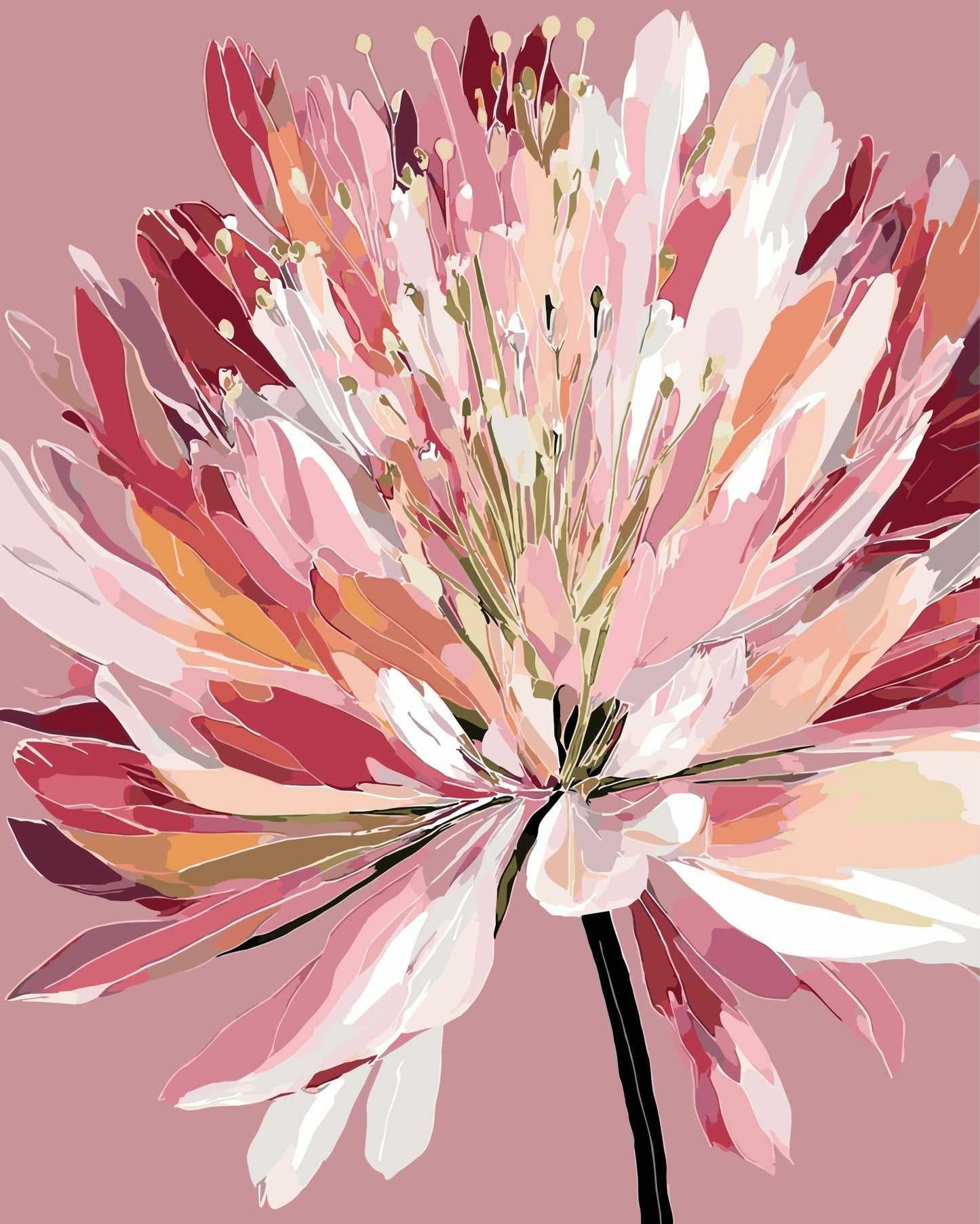 Pink Aggy paint by number kit — artistic effect of a pink agapanthus in deep berry, warm pink, soft blush and white tones against a dusty pink background
