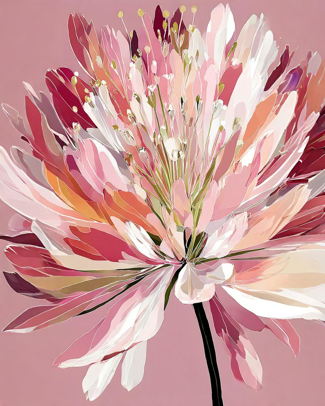 Colorful pink agapanthus flower illustration on a pink background
