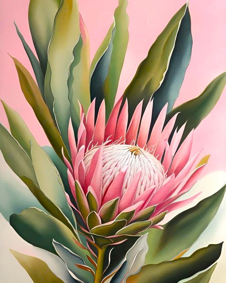 Paint By Number Kit - King Protea 40x50cm