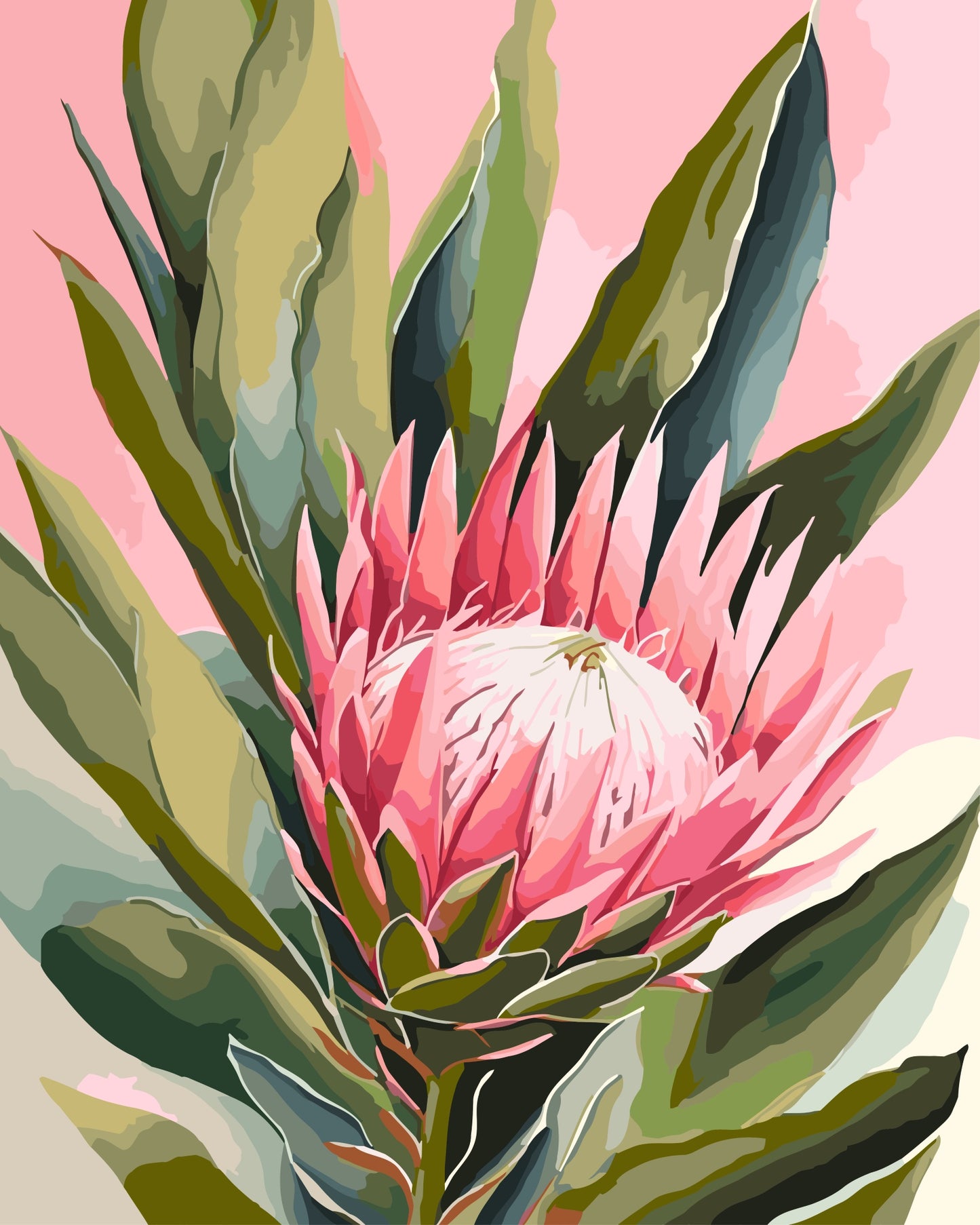 Paint By Number Kit - King Protea 40x50cm