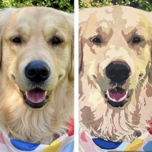 Side-by-side comparison of a photo of a dog compared with the finished customised paint by number canvas.