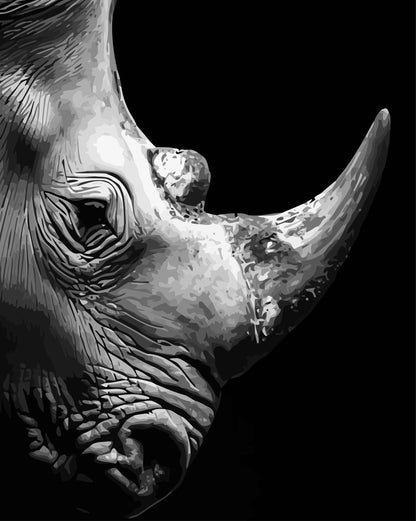 Close-up of a rhino's face with a dark background