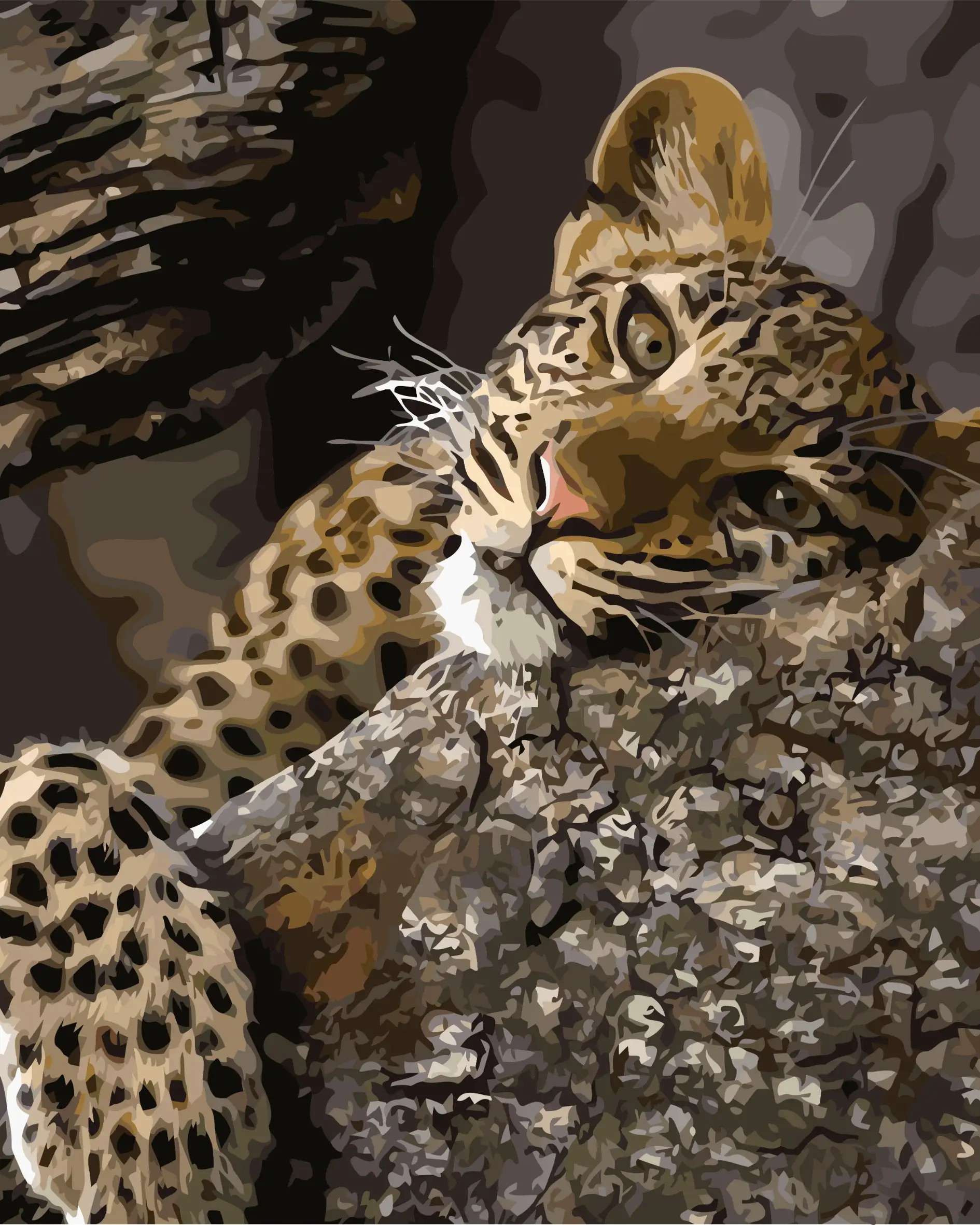 Paint by number of a Leopard resting on a rocky surface with a camouflage pattern