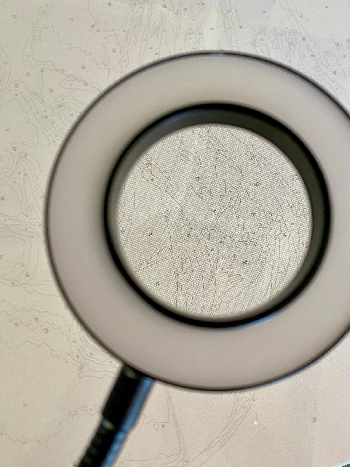Magnifying glass held over a numbered canvas