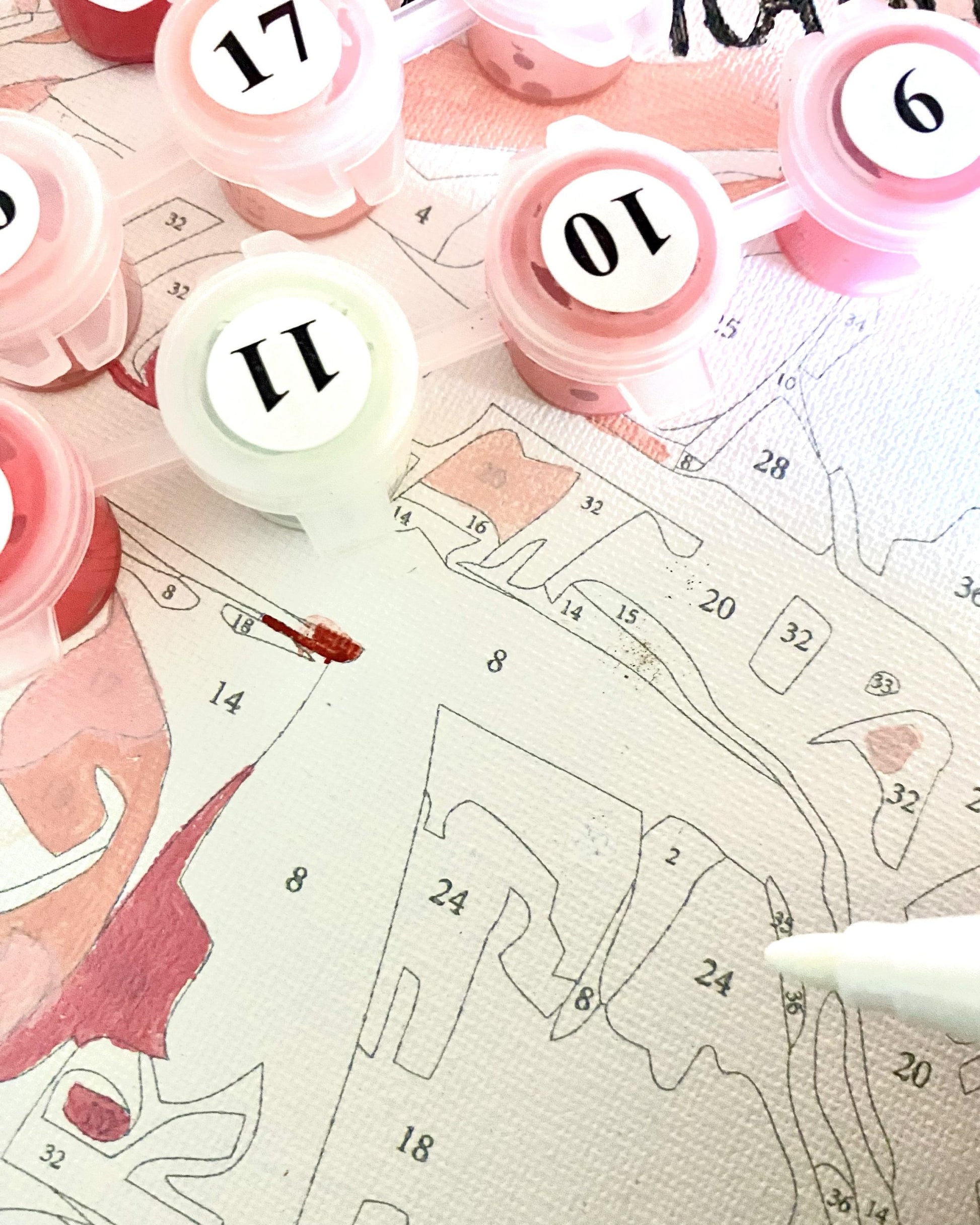 Pink and white numbered paint pots on a pre-printed canvas