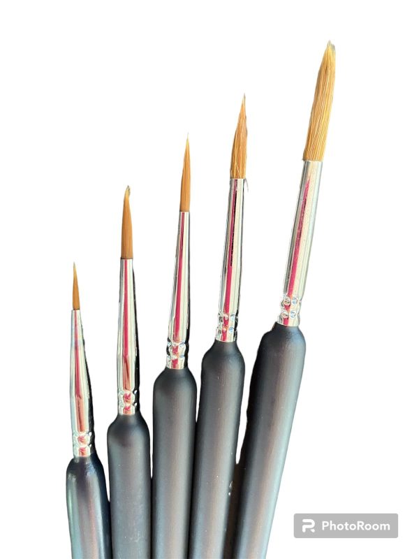 Fine Paint Brushes Set - 5