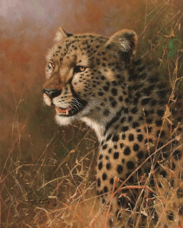 Puzzle Paint By Numbers - Cheetah 500 Pieces