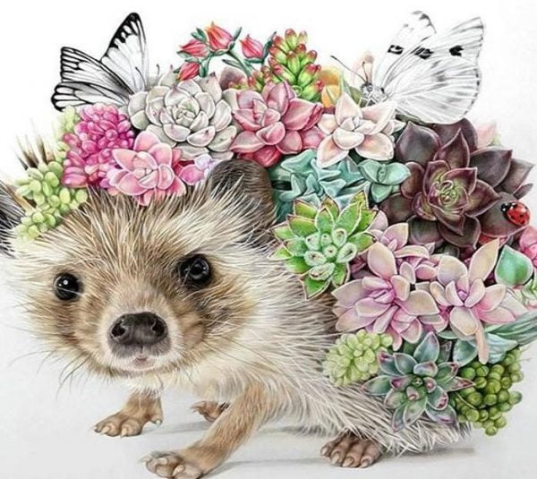 Paint By Numbers - Floral Hedgehog