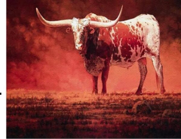 Paint By Numbers - LARGE Nguni Bull