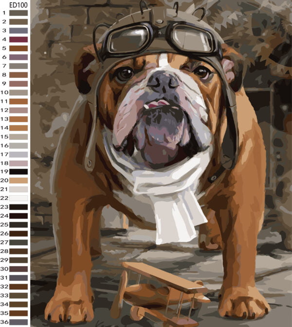 Paint By Numbers - Aviator Bully (Fundraiser)