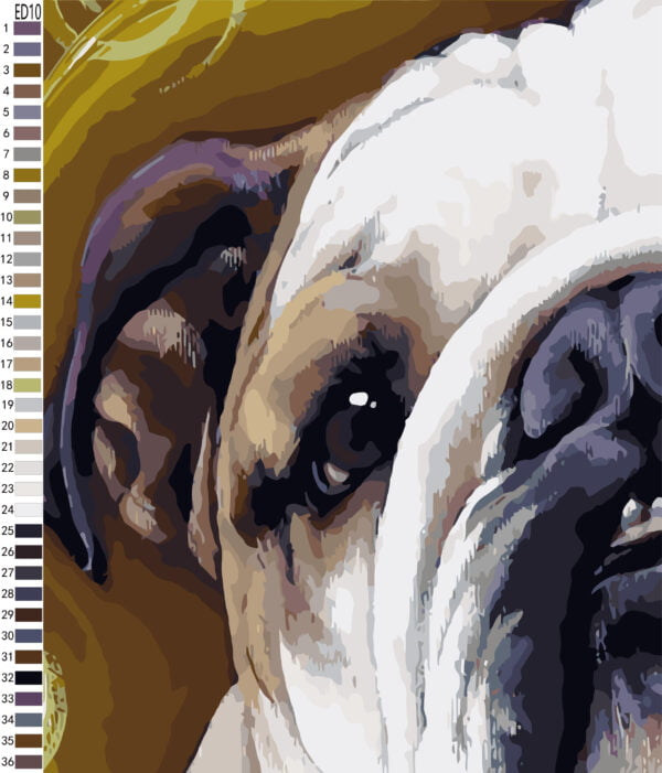 Paint By Numbers - Aviator Bully (Fundraiser)