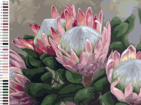 Paint By Numbers - Pink Proteas