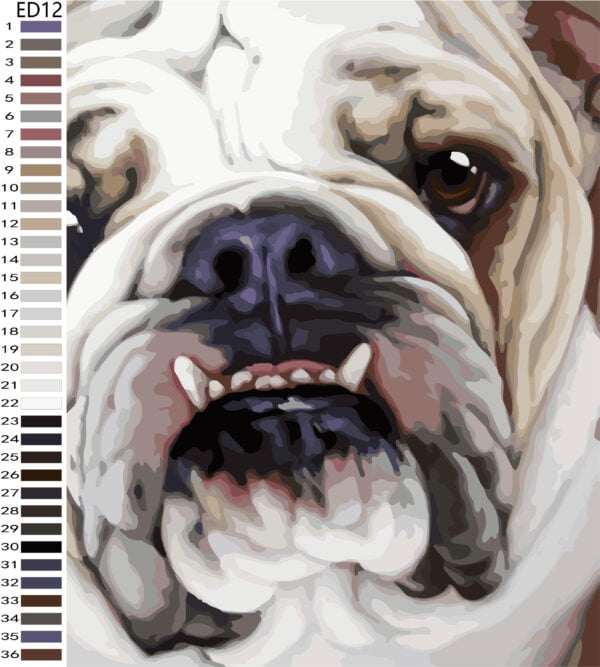 Paint By Numbers - Aviator Bully (Fundraiser)