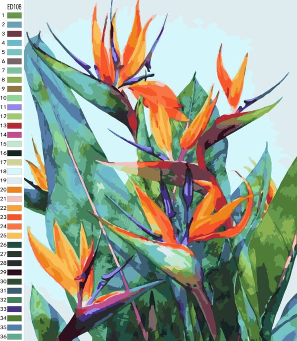 Paint By Numbers - Large Strelitzia