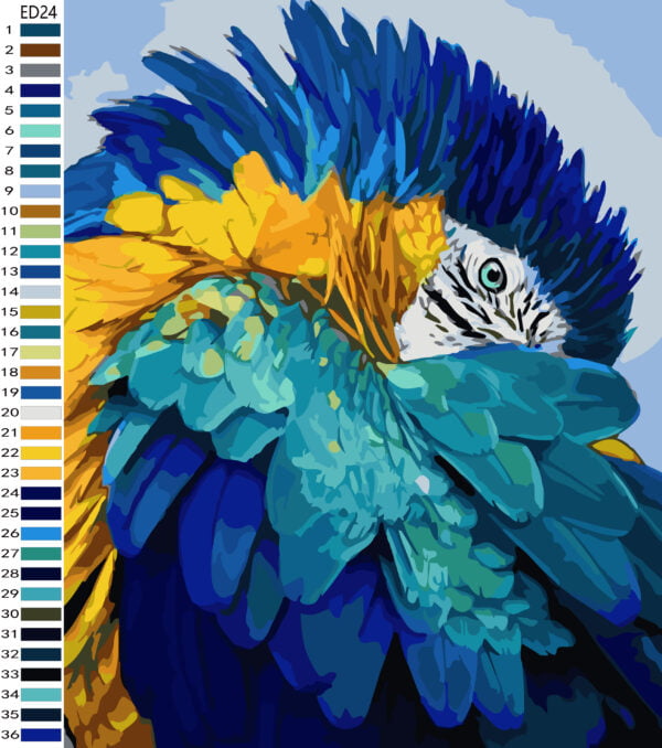 Paint By Numbers - Large Plumage