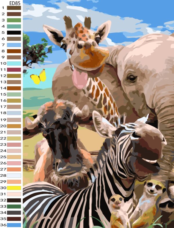 Paint By Numbers - Safari Selfie