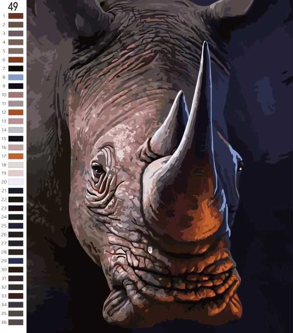 Paint By Numbers - Rhino