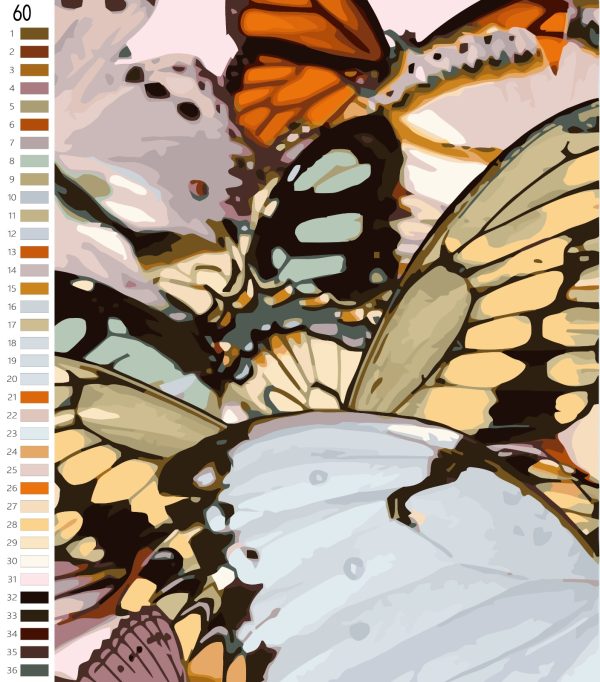 Paint By Numbers - Large Butterfly Collage
