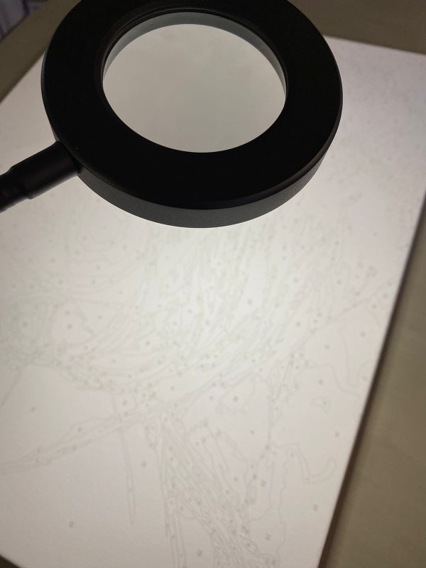 Magnifying Lamp