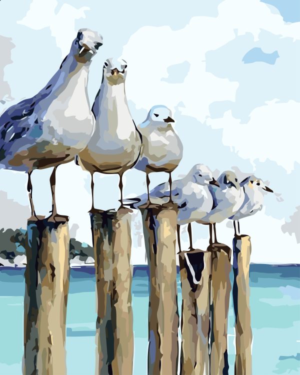 Paint By Numbers - Large Gulls