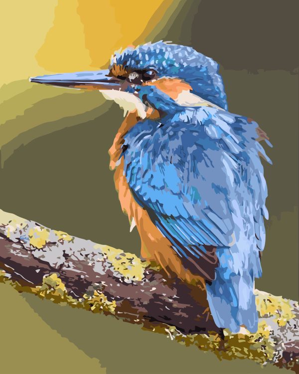 Paint By Numbers - Kingfisher 2