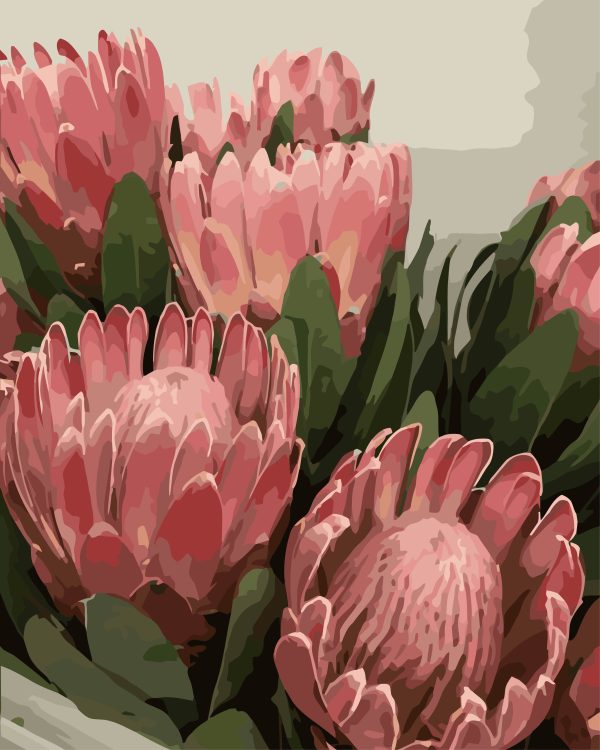 Paint By Numbers - Large Protea Bunch