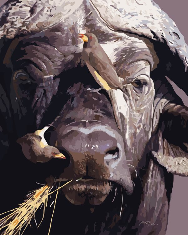 Paint By Numbers - Large Buffalo Friends