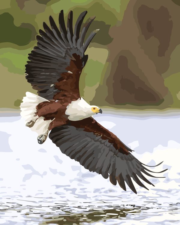 Paint By Numbers - Large Fish Eagle