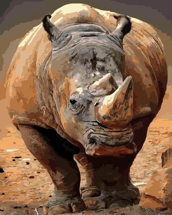 Paint By Numbers - Rhino 2