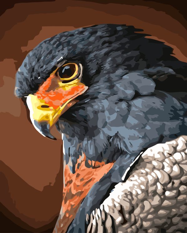 Paint By Numbers - Large Bateleur