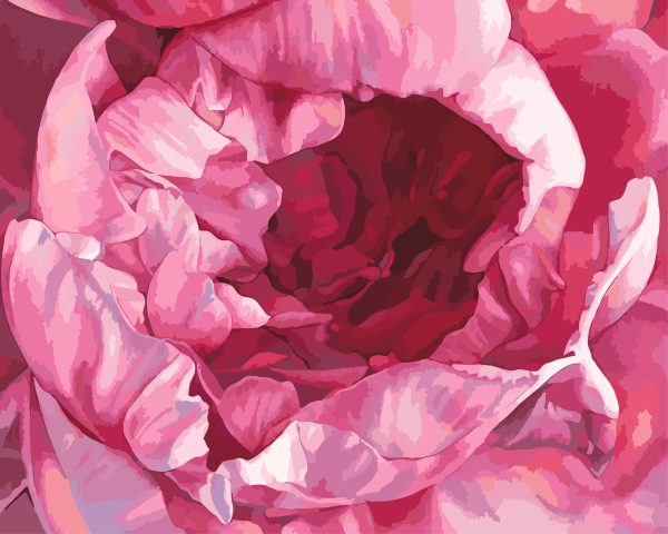 Paint By Numbers - Peony