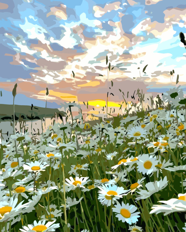 Paint By Numbers - Large Coming Up Daisies