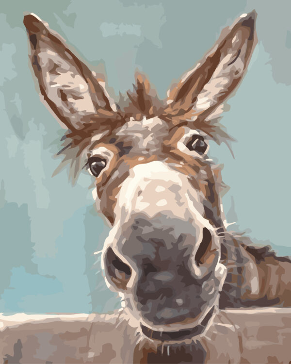 Paint By Numbers - Dorothy Donkey