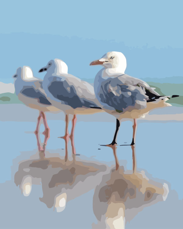 Paint By Numbers - Gull Parade