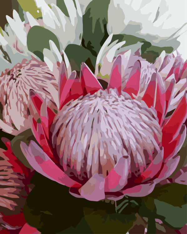 Paint By Numbers - Large King Proteas