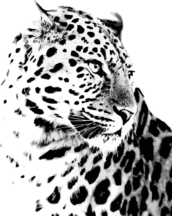 Paint By Numbers - Leopard Spots