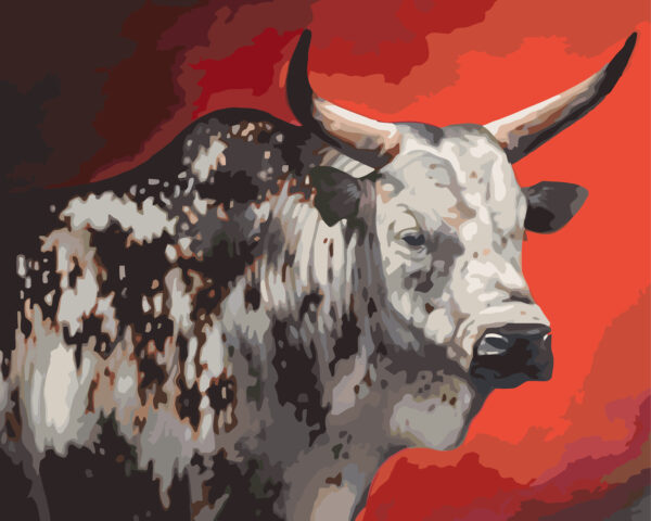 Paint By Numbers - Nguni Bull