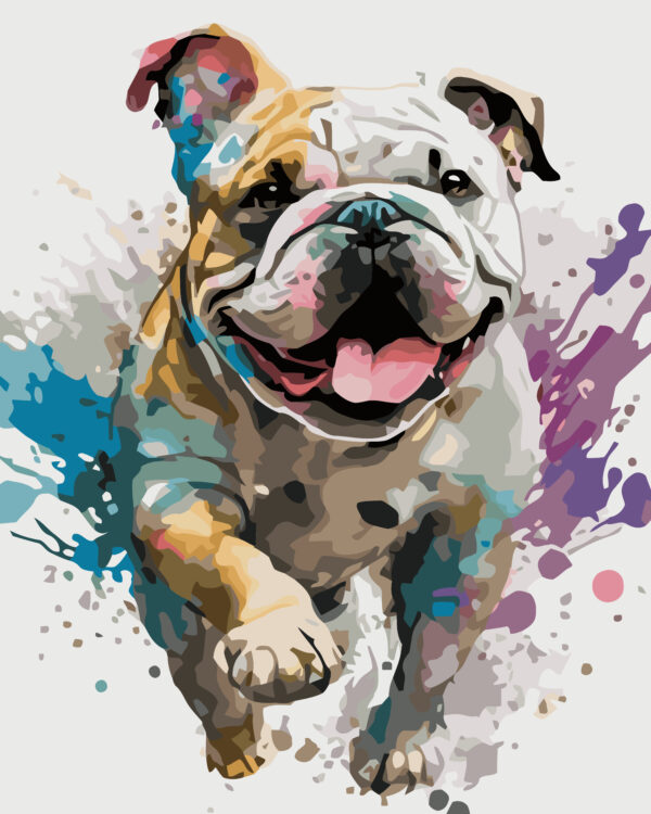 Paint By Numbers - Bully Splash