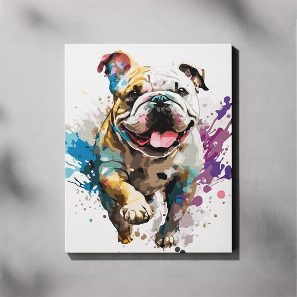 Paint By Numbers - Bully Splash